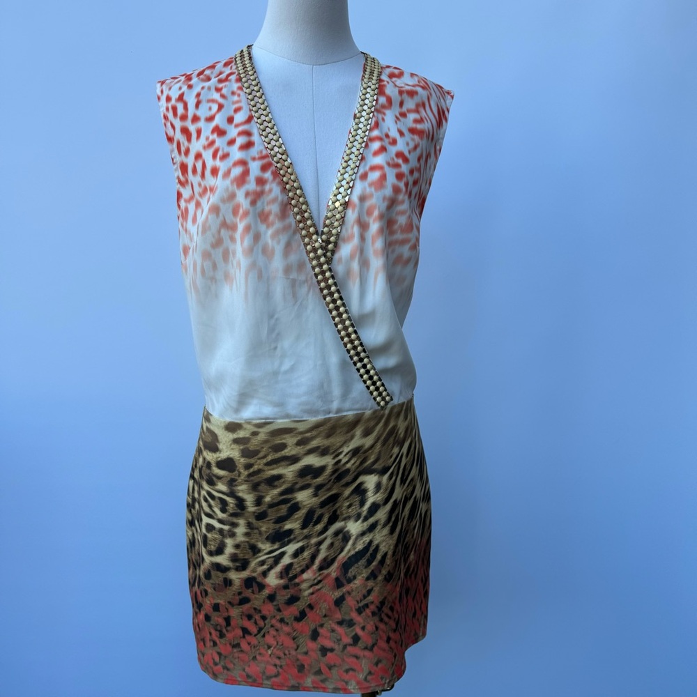 Leopard Print V-Neck Dress with Gold Accents